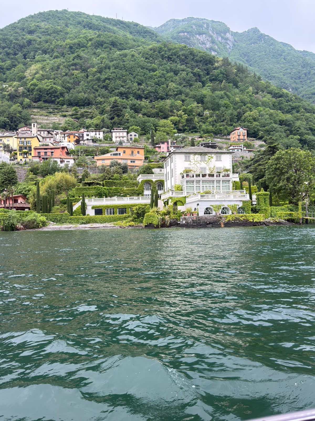 Lakeside estates, cypress and ivy